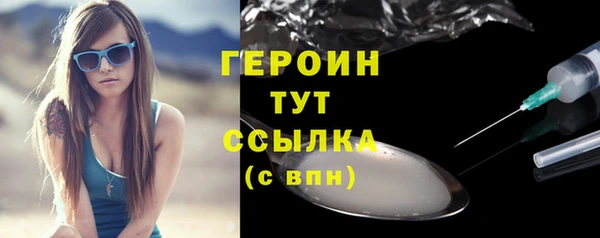 хмурый Арсеньев