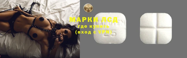 крисы Аркадак