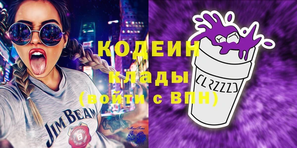 хмурый Арсеньев