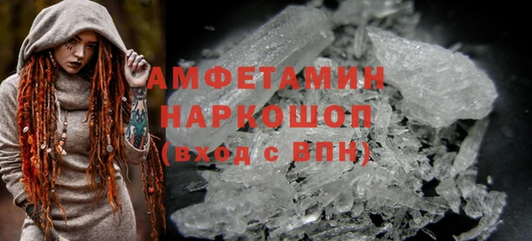 хмурый Арсеньев