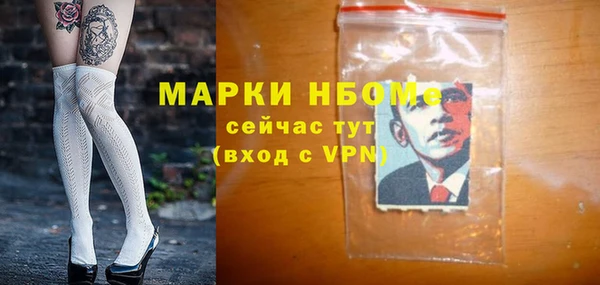 хмурый Арсеньев