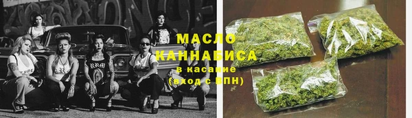 хмурый Арсеньев