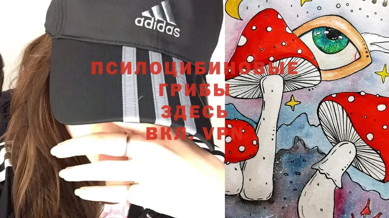 Галлюциногенные грибы Psilocybine cubensis  Верея 