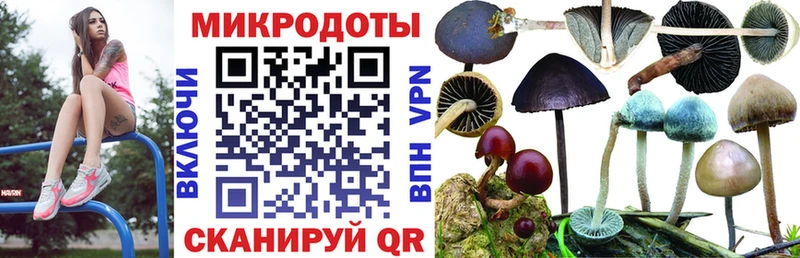 купить закладку  Верея  Галлюциногенные грибы мухоморы 
